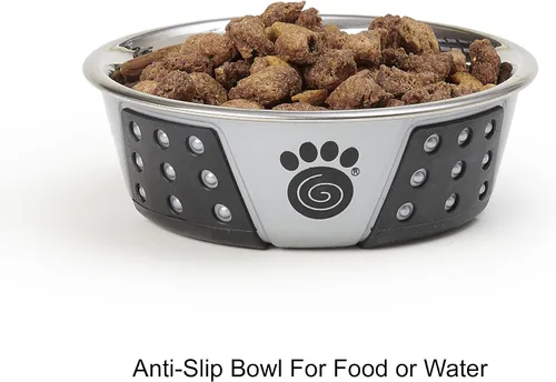 Miniatura 3 de PetRageous 13097 Fiji - Cuenco para perro de acero inoxidable antideslizante apto para lavavajillas, capacidad de 1.75 tazas, 5.5 pulgadas