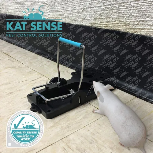 Miniatura 7 de Kat Sense Juego de 6 trampas grandes para ratas, diseño de barra de acero inoxidable, trampa humana para uso en interiores y exteriores, atrapa