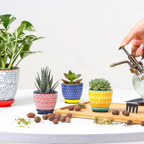 Miniatura 7 de Selamica Macetas de cerámica para suculentas de 2.4 pulgadas, mini macetas para plantas de cactus con agujeros de drenaje y platillos, decoración