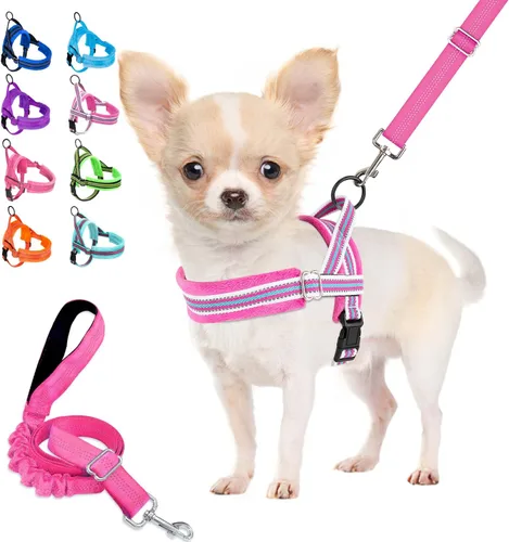 Miniatura 16 de Arnés para perro Lukove sin tirón y juego de correa, arnés suave acolchado para perros pequeños, arnés reflectante ajustable en cuello y pecho
