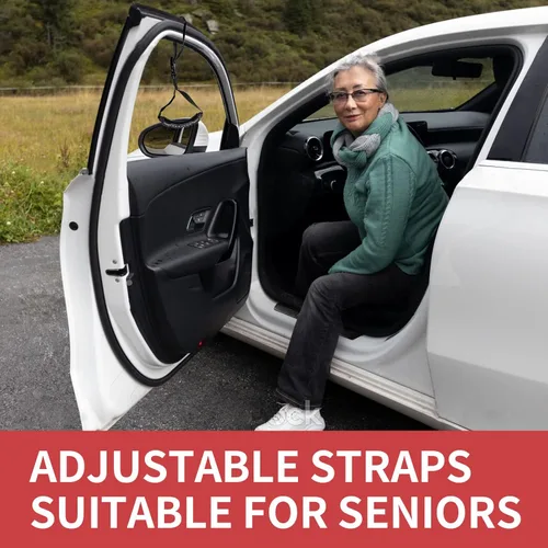 Miniatura 4 de Asistencia de manija de coche para ancianos, manijas de puerta para automoción, asistencia multifuncional para manija de automóvil, barra de soporte