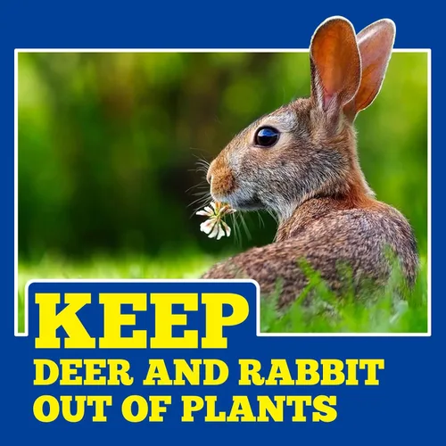 Miniatura 3 de Deer Repellent 12 Packs, Rabbit Repellent Outdoor for Plants, Natural Deer Deterrent Keep Deer and Rabbit Out of Garden Yard, Powerful Deer