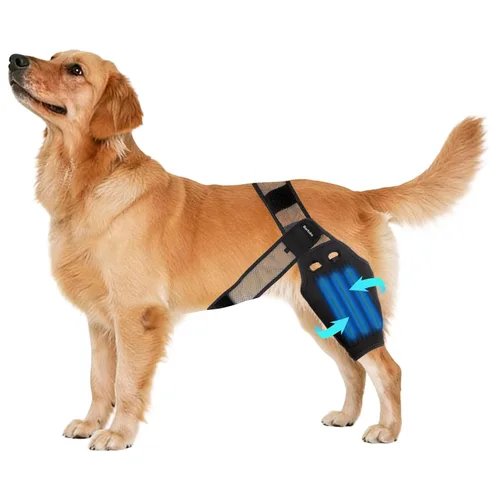 Rodillera para perro para desgarro del ligamento cruzado anterior, pierna de perro para patas delanteras y traseras traseras, soporte elástico