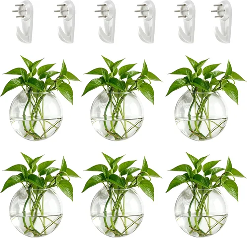 Miniatura 10 de NUPTIO Macetas de cristal para colgar en la pared: 4 jarrones transparentes de montaje en pared de terrario para interiores, oficina, jardín, sala