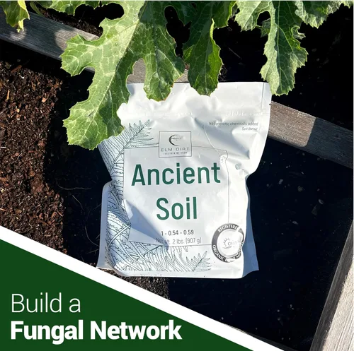 Miniatura 7 de Elm Dirt Suelo antiguo prémium para todas las plantas, suelo orgánico para plantas de exterior y suelo de plantas de interior, suelo de jardín