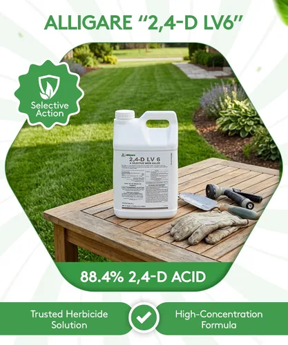 Miniatura 2 de ALLIGARE Concentrado de amina 2,4-D herbicida posemergente para controlar la trenza de cerdo, cardo y más, 46.8% de ingrediente activo, para césped