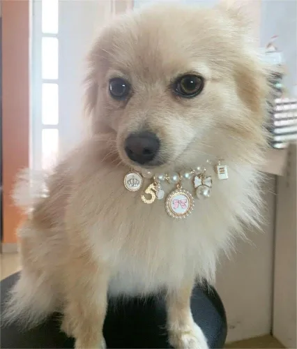Miniatura 3 de Collares de perlas para perros, collar de lazo de princesa, collar para mascotas, collar lindo para cachorros, accesorios de joyería de gato, correa