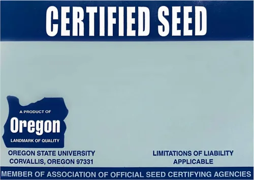 Miniatura 5 de Burlingham Seeds Prime Time - Mezcla de festuca alta 100 % alta Semilla de césped certificada Blue TAG (50 libras (5,000 pies cuadrados)), marrón