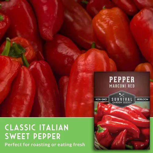 Miniatura 3 de Survival Garden Seeds - Semilla de pimiento rojo Marconi para plantar - Paquete con instrucciones para plantar y cultivar pimientos italianos dulces