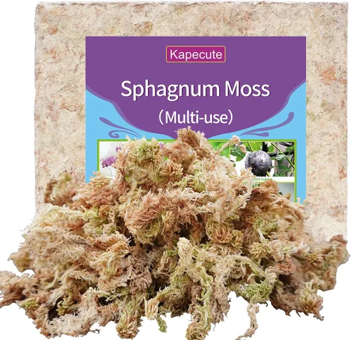 Miniatura 8 de 5oz de musgo sphagnum para propagación de plantas, excelente mezcla para macetas de orquídeas, ayuda a mantener la humedad