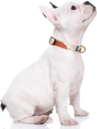 Miniatura 2 de Rnivvi Collar para perros pequeños, bonito collar resistente y ajustable para cachorros con hebilla de liberación rápida para machos, hembras