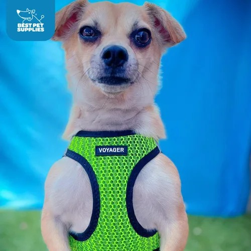 Miniatura 9 de Best Pet Supplies - Arnés de malla para todo tipo de clima, reflectante, antitirones, para perro y gato pequeño y mediano, con cierre de velcro