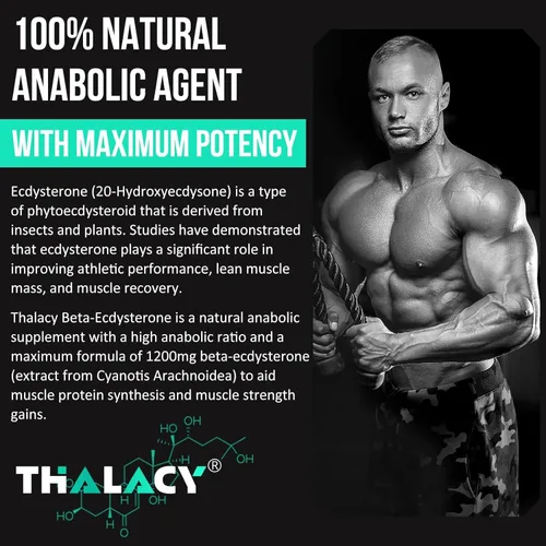 Miniatura 5 de 1200MG Beta Ecdysterone Supplement, 98% Pureza Máxima Ecdysterone Suplementos para masa muscular magra, rendimiento atlético y fuerza, 60 cápsulas