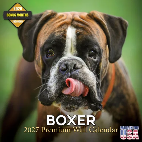 Miniatura 17 de Calendario 2025 2026 de cachorros Cocker Spaniel - Calendario mensual de pared de raza de perro - 12" x 24" abierto - Papel grueso sin sangrado