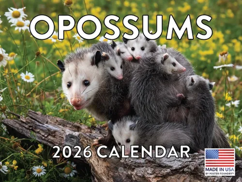 Miniatura 144 de Calendario alpaca 2026, calendario mensual de pared de 12 meses Hecho en Estados Unidos.