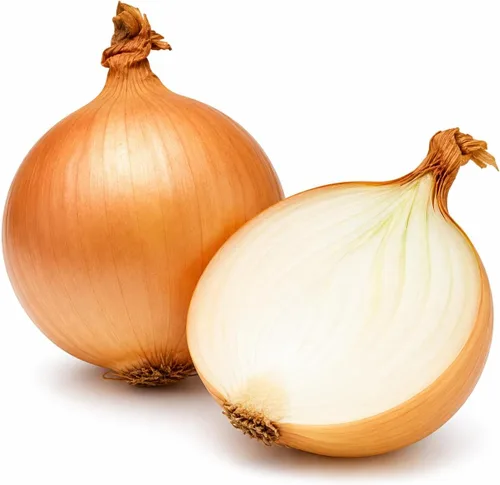 Semillas de cebolla española dulce amarilla para plantar – Variedad de cebolla bulbante de día largo – Cebollas dulces suaves grandes para jardines,