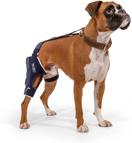 Balto Rodillera ortopédica ACL/CCL para perros, estabilizador de piernas ajustable para dolor en las articulaciones, recuperación de lesiones y