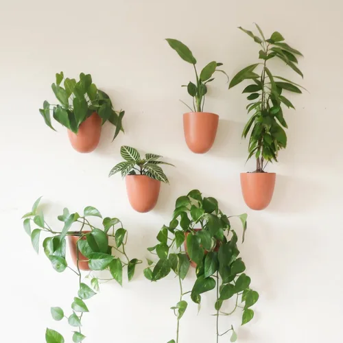 Miniatura 13 de Make Good PlantPod Luxe - Macetas de pared con riego automático (juego de 3, verde bosque), fáciles de regar e instalar, ligeras, diseña tu propio