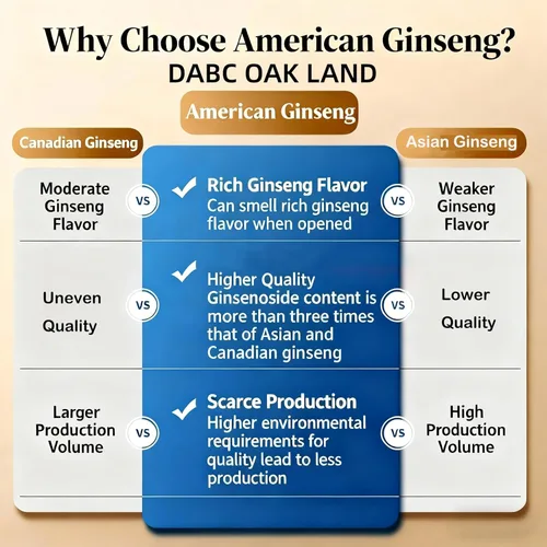 Miniatura 2 de Raíz de ginseng cultivada a mano de Wisconsin Americana Seleccionada a mano Medio Cultivado Wisconsin Ginseng Americano Grande 8oz/Caja