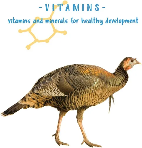 Miniatura 5 de Manna Pro Gamebird & Showbird Crumbles – Alimento prémium para aves de corral para pollos, patos, aves de caza, pavos y bantams – Fortificado