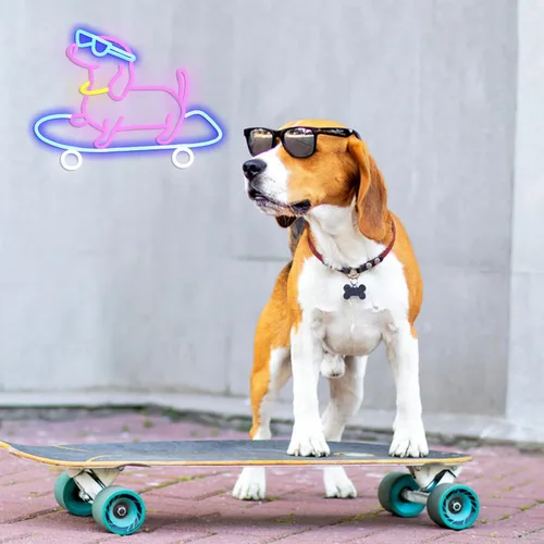 Miniatura 6 de Letrero de neón para perro monopatín regulable divertido Dachshund Skateboarding LED luz de neón decoración de pared para dormitorio, bar, sala