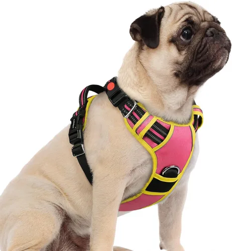 Miniatura 14 de rabbitgoo Arnés para perro de tamaño pequeño, chaleco para perro sin tirones con 3 hebillas, arnés ajustable y acolchado suave para mascotas con asa