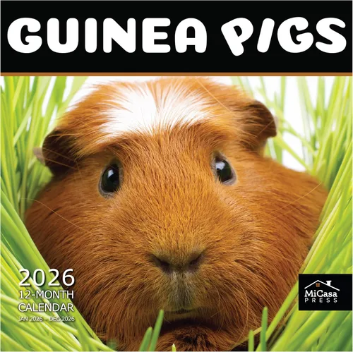 Miniatura 19 de MICASA PRESS Bunnies - Calendario de pared 2026 de 12 meses 12 x 24 pulgadas abierto Papel grueso y resistente Regalo Lindo conejo animal