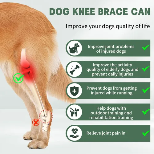 Miniatura 3 de Soporte ajustable para patas traseras de perro para perros pequeños a grandes, rodillera de perro para pierna trasera desgarrada con estabilizador