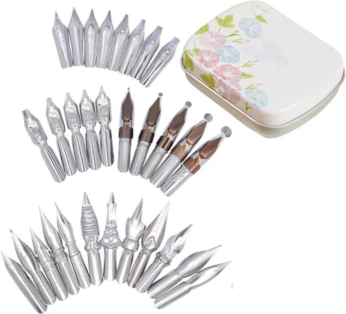 Juego de 30 plumas de acero inoxidable para caligrafía, punta de caligrafía, punta de manga, plumas estilográficas, repuesto con caja de