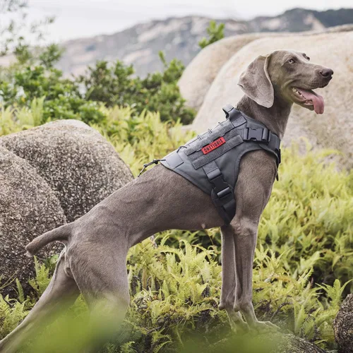 Miniatura 6 de Chaleco táctico para perro, con asa, arnés militar para perros grandes y medianos, chaleco de perro sin tirar con paneles de gancho y bucle, arnés