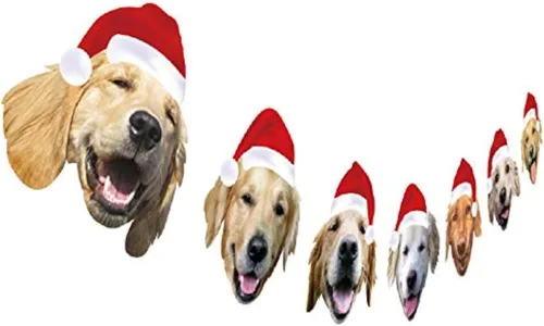 Letrero para fiesta de cumpleaños «Happy Birthday» #5. Guirnalda de Navidad Golden Retriever