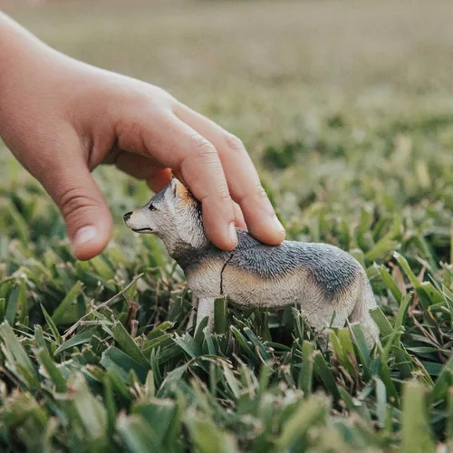 Miniatura 2 de Safari Ltd. Figura de lobo gris, figura realista de lobo de plástico de 4 pulgadas, juguete educativo para niños, niñas y niños a partir de 3 años