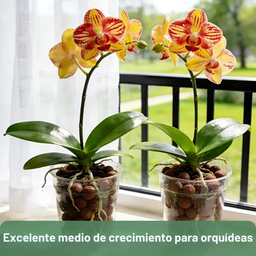Miniatura 6 de Halatool 2 LB Guijarros de arcilla expandida natural de 2 libras para plantas 4mm-16mm Bolas de arcilla 100% orgánicas Hydroton Leca para plantas