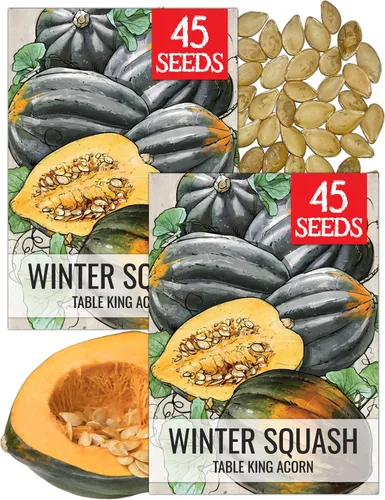 Miniatura 24 de Seed Needs Semillas de calabacín para plantar calabaza de verano Black Beauty, sin OMG, reliquia y sin tratar, rendimientos prolíficos de deliciosos