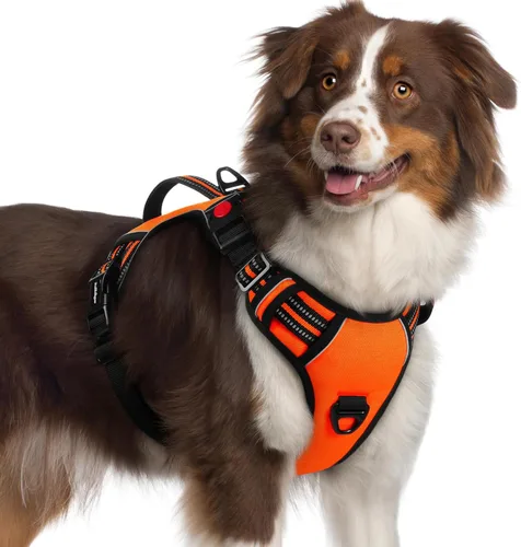 Miniatura 24 de rabbitgoo Arnés para perro de tamaño pequeño, arnés para mascotas sin tirones con mango acolchado suave, chaleco reflectante ajustable con 3