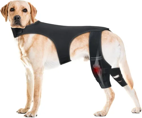 Miniatura 3 de Rodillera para perro para recuperación, soporte ajustable para piernas traseras, alivio del dolor en las articulaciones de la cadera para perros