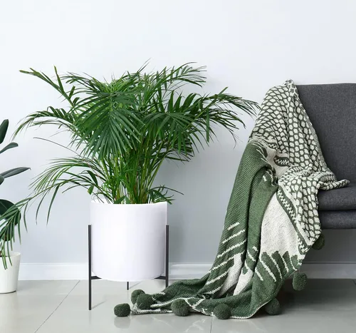 Miniatura 3 de Macetero moderno con soporte de metal de 8, 10, 12 y 14 pulgadas, para plantas