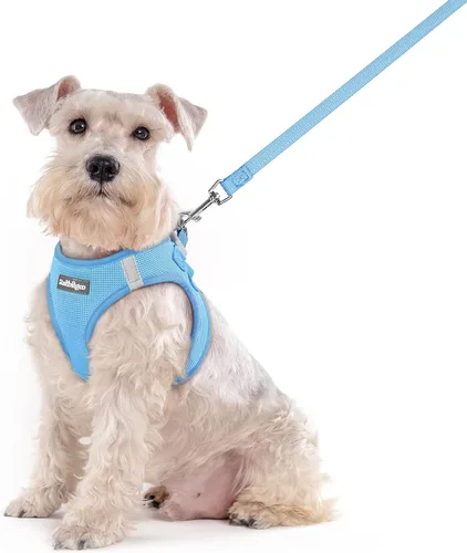 Miniatura 101 de rabbitgoo Juego de arnés para perro de tamaño pequeño y correa, chaleco ligero suave para cachorro, arnés de malla transpirable para mascotas