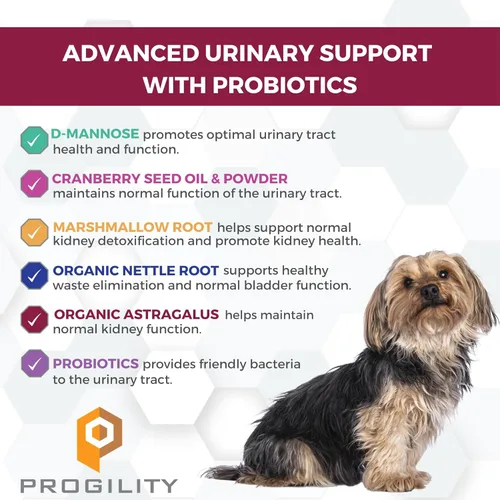 Miniatura 2 de Nootie Progility - Mini suplemento de apoyo urinario para perros, soporte de vejiga y soporte del tracto urinario para perros con arándano