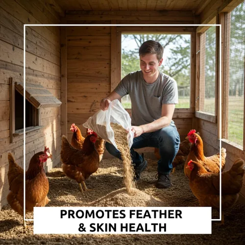 Miniatura 4 de World's Best - Baño de polvo de pollo, mezcla de ceniza de madera natural, arena y polvo fino, seguro para todos los pollos (10 libras)