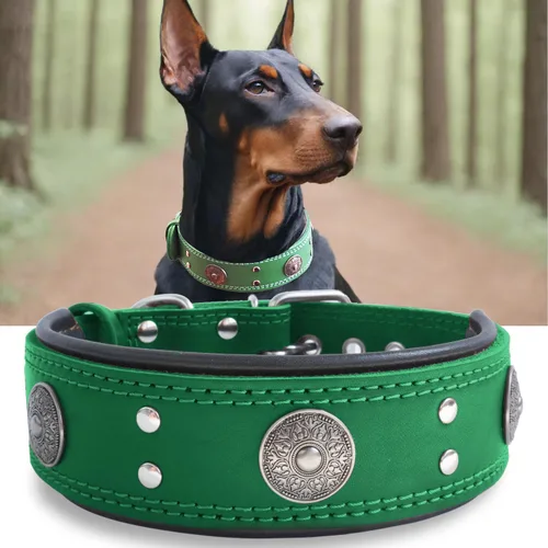 Miniatura 17 de Collar de cuero para perro, 2 pulgadas de ancho, collares de cuero genuino resistente, hecho a mano, suave y lujoso, la mejor opción llamativa