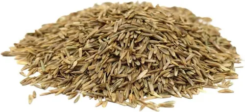Hancock Perenne Ryegrass, césped de alto desgaste y tolerante a la sequía, césped verde exuberante, bolsa de 25 libras