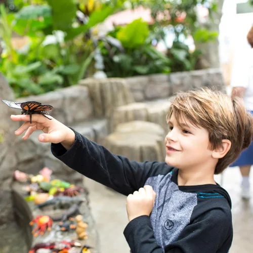 Miniatura 5 de Safari Ltd. Figura de mariposa monarca, figura realista de insectos de 4.5 pulgadas, juguete educativo para niños, niñas y niños a partir de 3 años