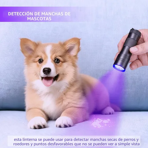 Miniatura 3 de Linterna UV Luz Negra–Pequeña Portátil Mini de 12 LED, Luz Negra para Detección de Manchas Ocultas en la Habitación, Curado de Resina, Búsqueda