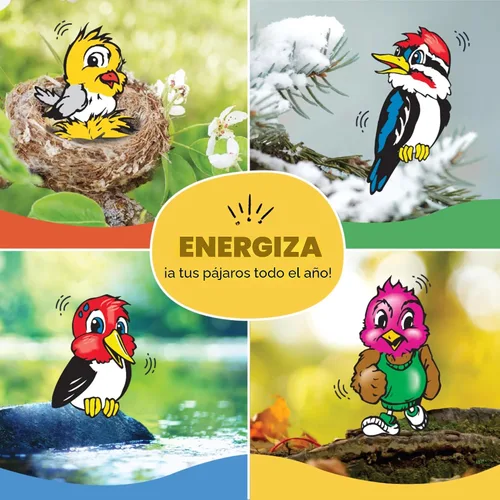 Miniatura 11 de C&S Golosina de Sebo de Alta Energía, Alimento para Aves Silvestres para Pajaros Carpinteros, Trepadores, Carboneros y Agateadores, Paquete de 8