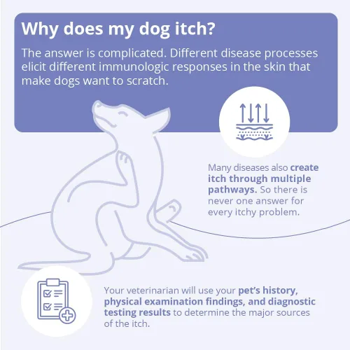 Miniatura 7 de Mal-A-Ket Plus TrizEDTA Acondicionador en aerosol para perros y gatos, 8 onzas