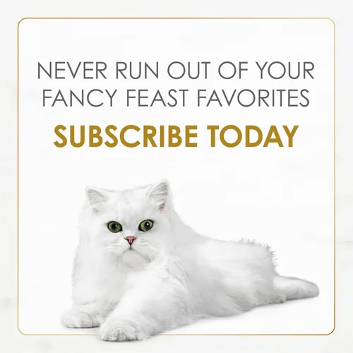 Miniatura 9 de Purina Fancy Feast Comida Húmeda para Gatos Medleys Pollo Desmenuzado de Carne Blanca Fare con Espinacas en Sabroso Caldo de Comida para Gatos