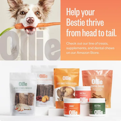 Miniatura 6 de Ollie Masticables dentales para perros grandes, 12 onzas, aliento fresco, golosinas de limpieza de dientes, palos para el cuidado bucal del perro