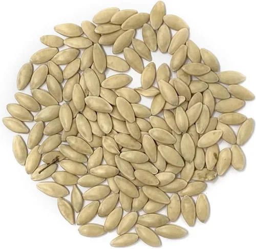 Miniatura 2 de Semillas de pepino orgánicas (Marketmore 76) – Aproximadamente 100 semillas – USDA Organic, sin OMG, polinizado abierto, reliquia, origen