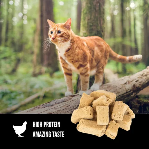Miniatura 3 de ORIJEN Golosinas para gatos liofilizadas sin granos de alta proteína con ingredientes animales crudos originales, bolsa de 1.25 oz